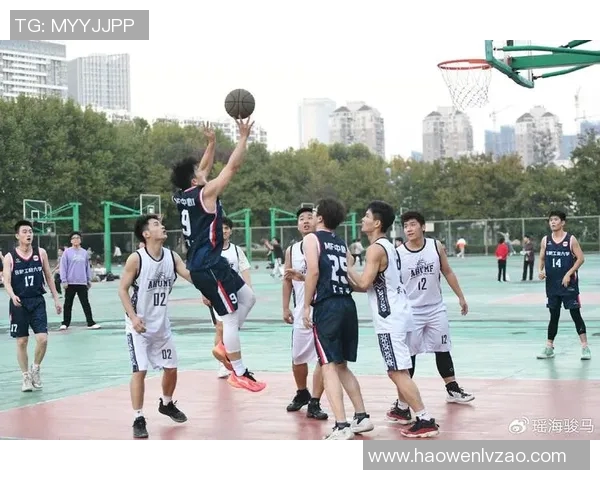 篮球场上的男明星风采尽显他们的魅力与激情照片集锦 篮球场上的男明星风采尽显他们的魅力与激情照片集锦